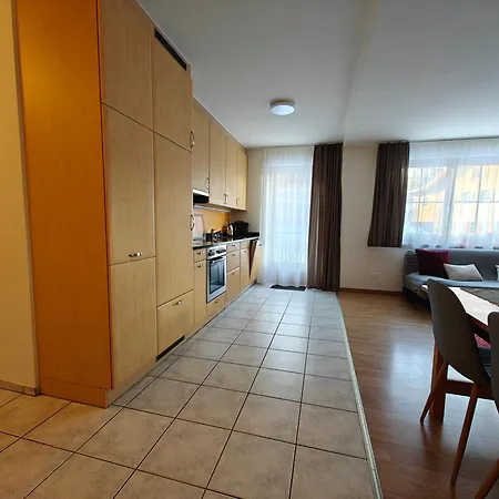 Casa Rinerhorn - Nahe Ski- Und Wandergebiet Apartment Davos